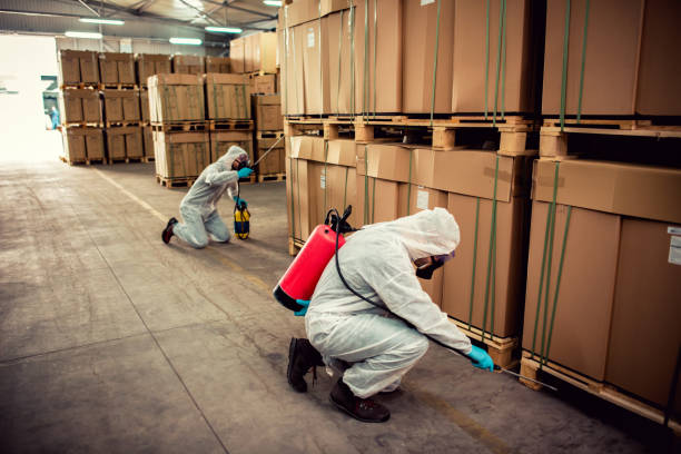Best Best Pest Control Companies  in Buckeye, AZ