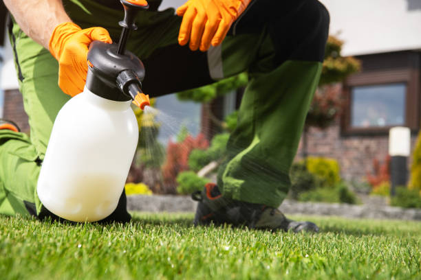 Best Pest Removal Services  in Buckeye, AZ