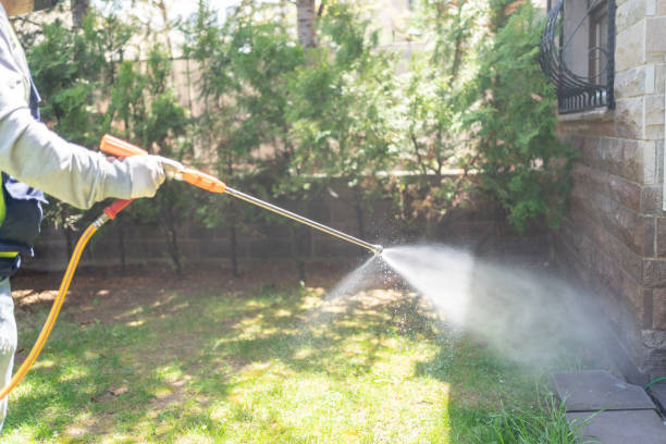 Best Best Pest Control Companies  in Buckeye, AZ
